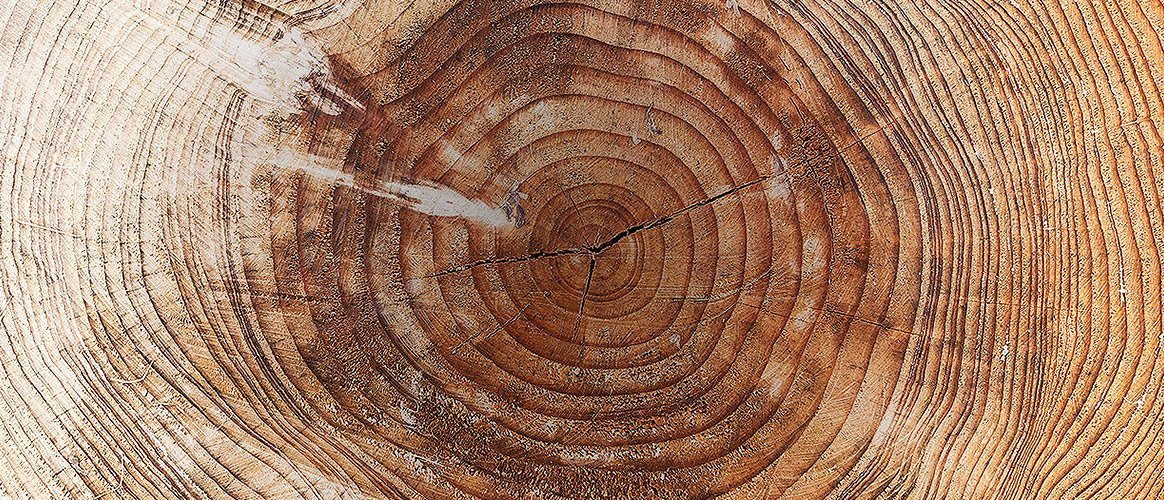 Let’s talk about wood